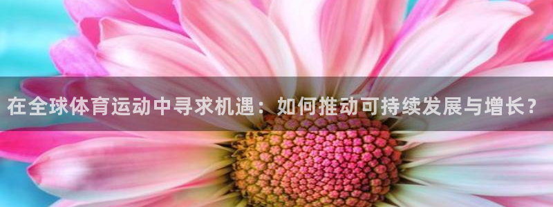 中山熊猫体育：在全球体育运动中寻求机遇：如何推动可持续发展与增长？