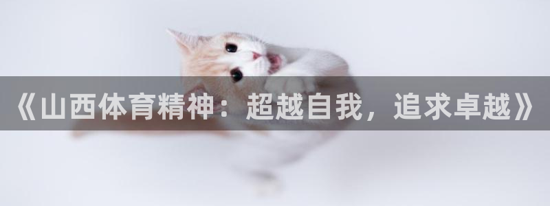 熊猫体育手机版下载：《山西体育精神：超越自我，追求卓越》