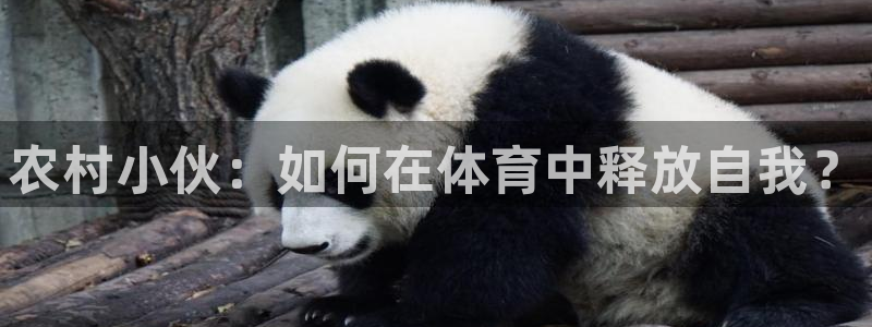 熊猫体育官方网站：农村小伙：如何在体育中释放自我？