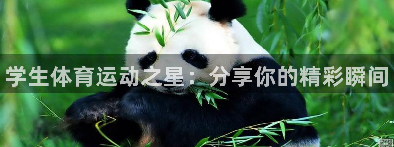 熊猫体育手机版：学生体育运动之星：分享你的精彩瞬间
