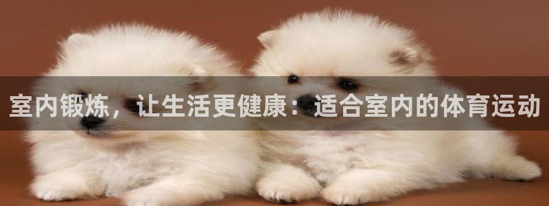 熊猫体育网站：室内锻炼，让生活更健康：适合室内的体育运动