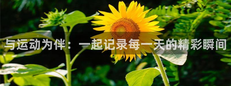 熊猫体育平台：与运动为伴：一起记录每一天的精彩瞬间