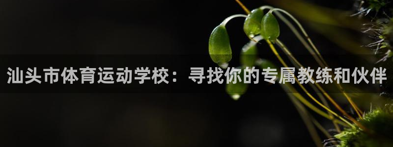 成都熊猫体育公园：汕头市体育运动学校：寻找你的专属教练和伙伴