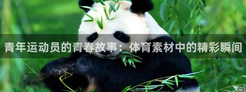 熊猫体育网址：青年运动员的青春故事：体育素材中的精彩瞬间