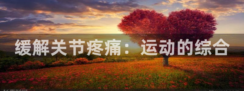 动感熊猫体育公园：缓解关节疼痛：运动的综合