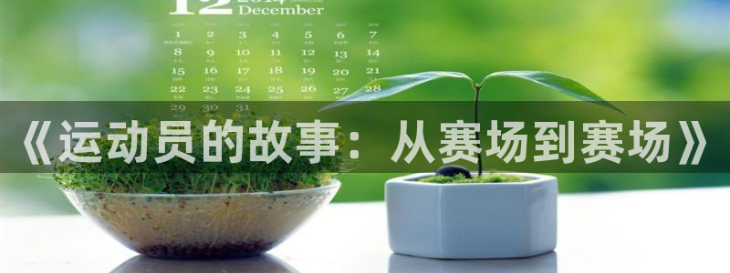 熊猫体育平台官网：《运动员的故事：从赛场到赛场》