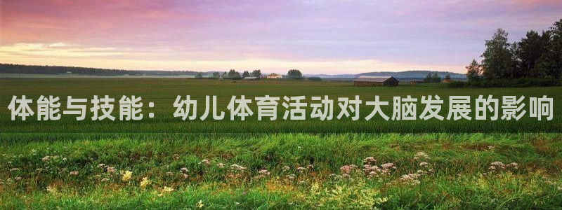 熊猫体育比赛直播：体能与技能：幼儿体育活动对大脑发展的影响