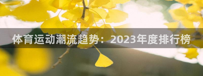 熊猫体育直播：体育运动潮流趋势：2023年度排行榜